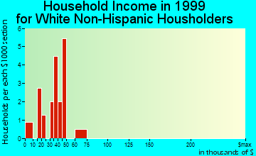 Centreville household income for White Non-Hispanic householders