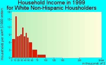 Dallas City household income for White Non-Hispanic householders