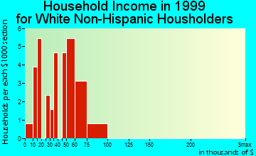 Copper Center household income for White Non-Hispanic householders