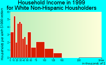 Delta Junction household income for White Non-Hispanic householders