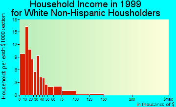 Brundidge household income for White Non-Hispanic householders