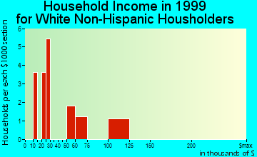 Four Mile Road household income for White Non-Hispanic householders