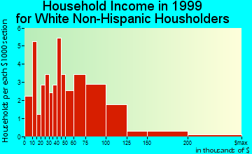 Healy household income for White Non-Hispanic householders