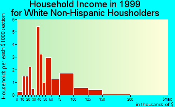 King Salmon household income for White Non-Hispanic householders