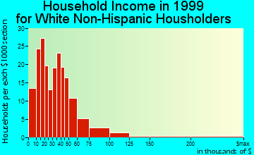Audubon household income for White Non-Hispanic householders