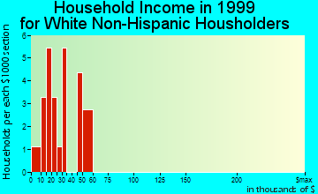 Bassett household income for White Non-Hispanic householders