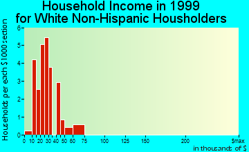 Brayton household income for White Non-Hispanic householders