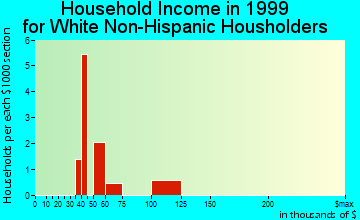 New Stuyahok household income for White Non-Hispanic householders
