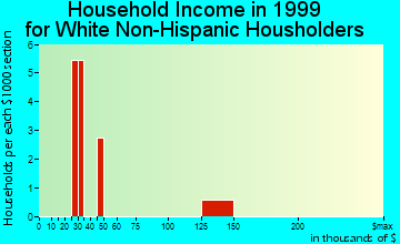 Newtok household income for White Non-Hispanic householders