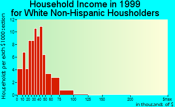 Clermont household income for White Non-Hispanic householders