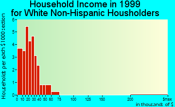 Decatur City household income for White Non-Hispanic householders
