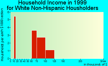 Noorvik household income for White Non-Hispanic householders