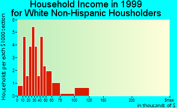 East Peru household income for White Non-Hispanic householders