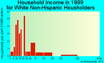Ferguson household income for White Non-Hispanic householders