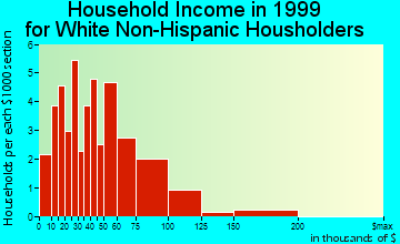 Hinton household income for White Non-Hispanic householders