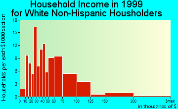 Hudson household income for White Non-Hispanic householders