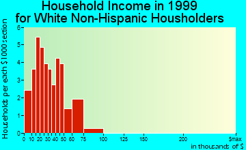 Irwin household income for White Non-Hispanic householders