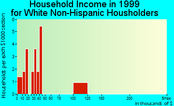 Jackson Junction household income for White Non-Hispanic householders