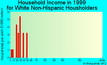 Point Baker household income for White Non-Hispanic householders