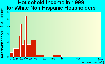 Leighton household income for White Non-Hispanic householders