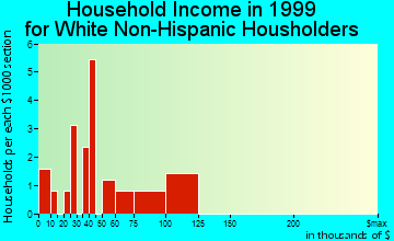 Port Alsworth household income for White Non-Hispanic householders