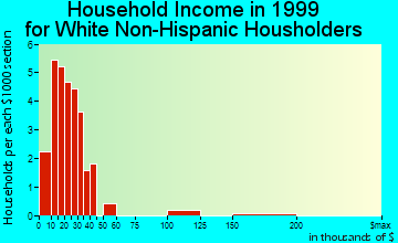 Marathon household income for White Non-Hispanic householders