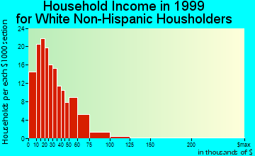 Mount Ayr household income for White Non-Hispanic householders