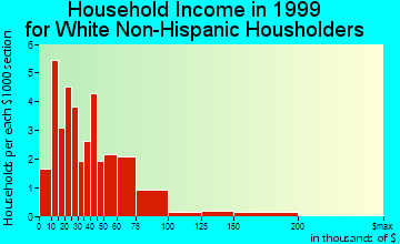 New Virginia household income for White Non-Hispanic householders