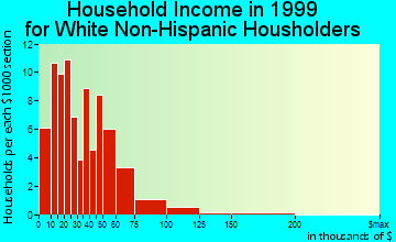 Panora household income for White Non-Hispanic householders