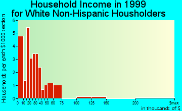 Rake household income for White Non-Hispanic householders