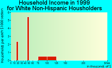 Savoonga household income for White Non-Hispanic householders