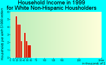 Rodman household income for White Non-Hispanic householders