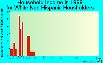 Spring Hill household income for White Non-Hispanic householders