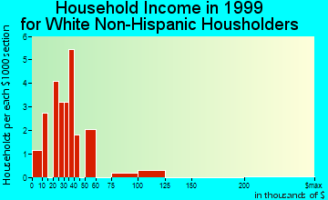 Superior household income for White Non-Hispanic householders