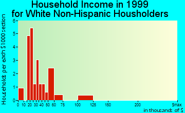 Swan household income for White Non-Hispanic householders