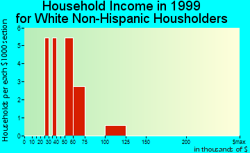 Shishmaref household income for White Non-Hispanic householders