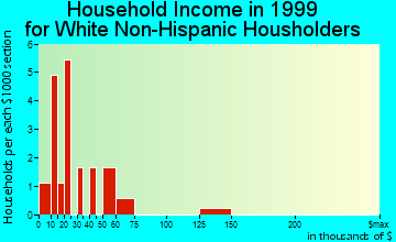 Turin household income for White Non-Hispanic householders