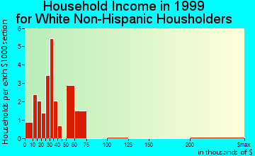 Woolstock household income for White Non-Hispanic householders