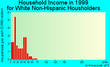 Burr Oak household income for White Non-Hispanic householders