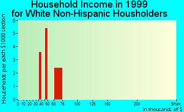 Teller household income for White Non-Hispanic householders