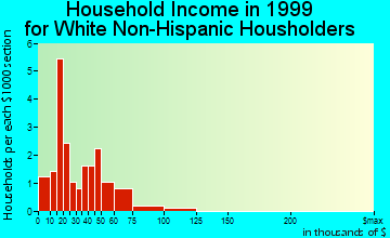 Everest household income for White Non-Hispanic householders