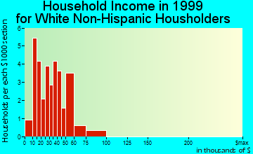South Haven household income for White Non-Hispanic householders