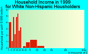 Angie household income for White Non-Hispanic householders