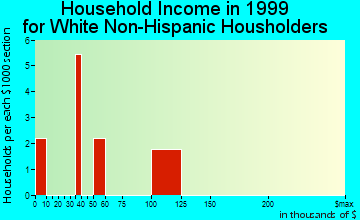 Gadsden household income for White Non-Hispanic householders