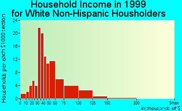 Discovery-Spring Garden household income for White Non-Hispanic householders