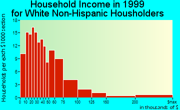 Brewster household income for White Non-Hispanic householders