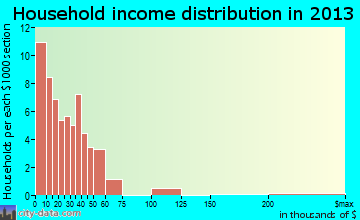 Chatham household income distribution