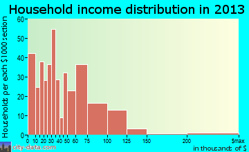 Walker household income distribution