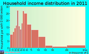 Turner household income distribution