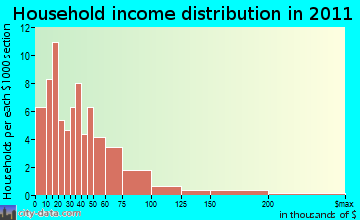 Perry household income distribution